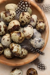 Photo of Speckled quail eggs and feathers on beige background, above view