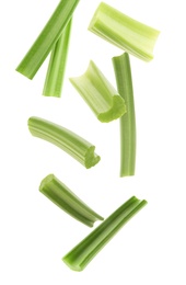 Cut fresh green celery falling on white background