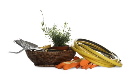 Photo of Different modern gardening tools on white background