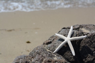 Photo of Beautiful starfish on black stone near sea, space for text