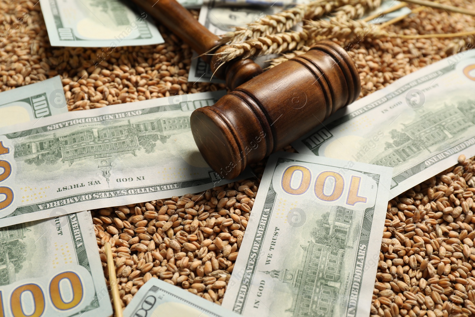 Photo of Dollar banknotes, wooden gavel and wheat ears on grains, closeup. Agricultural business