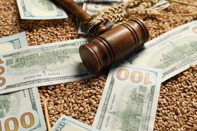 Dollar banknotes, wooden gavel and wheat ears on grains, closeup. Agricultural business