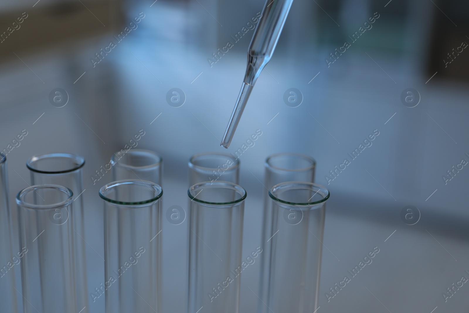 Photo of Laboratory analysis. Dripping liquid into test tubes indoors, closeup