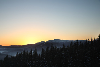 Photo of Picturesque view of conifer forest covered with snow at sunset