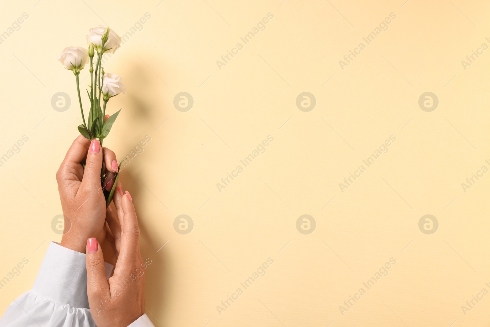 Photo of Woman with eustoma flowers on beige background, top view. Space for text