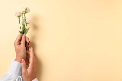 Woman with eustoma flowers on beige background, top view. Space for text