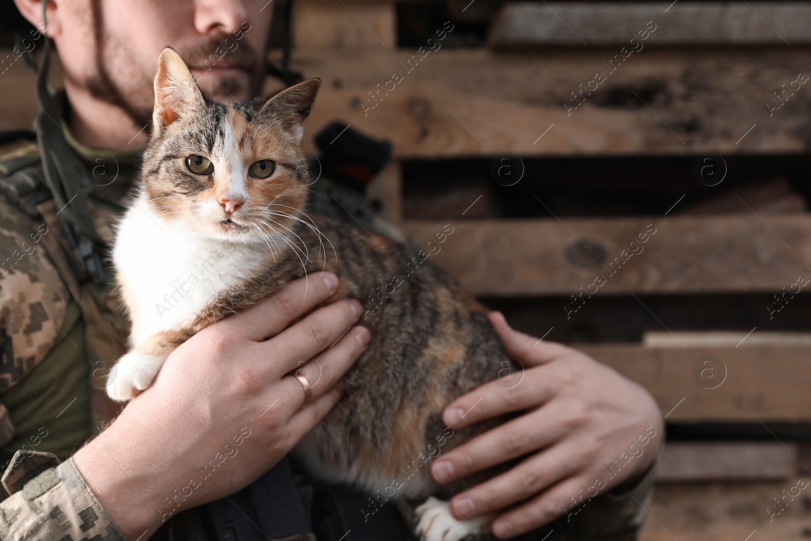 Photo of Ukrainian soldier with stray cat outdoors, closeup. Space for text