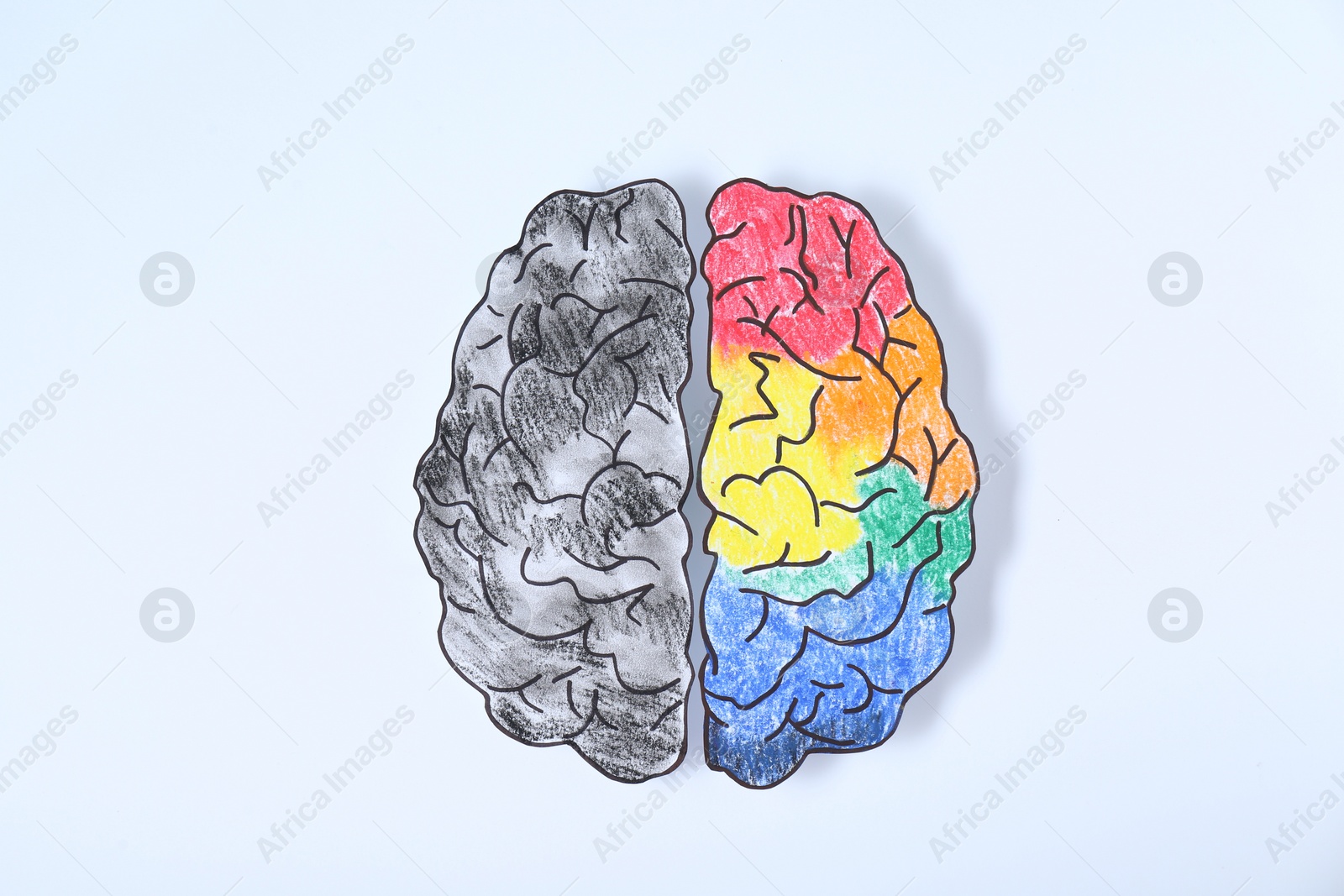 Photo of Logic and creativity. Paper brain with one colorful hemisphere and another grey on white background, top view