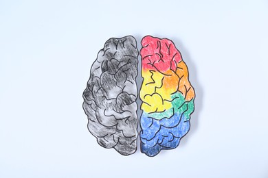Logic and creativity. Paper brain with one colorful hemisphere and another grey on white background, top view