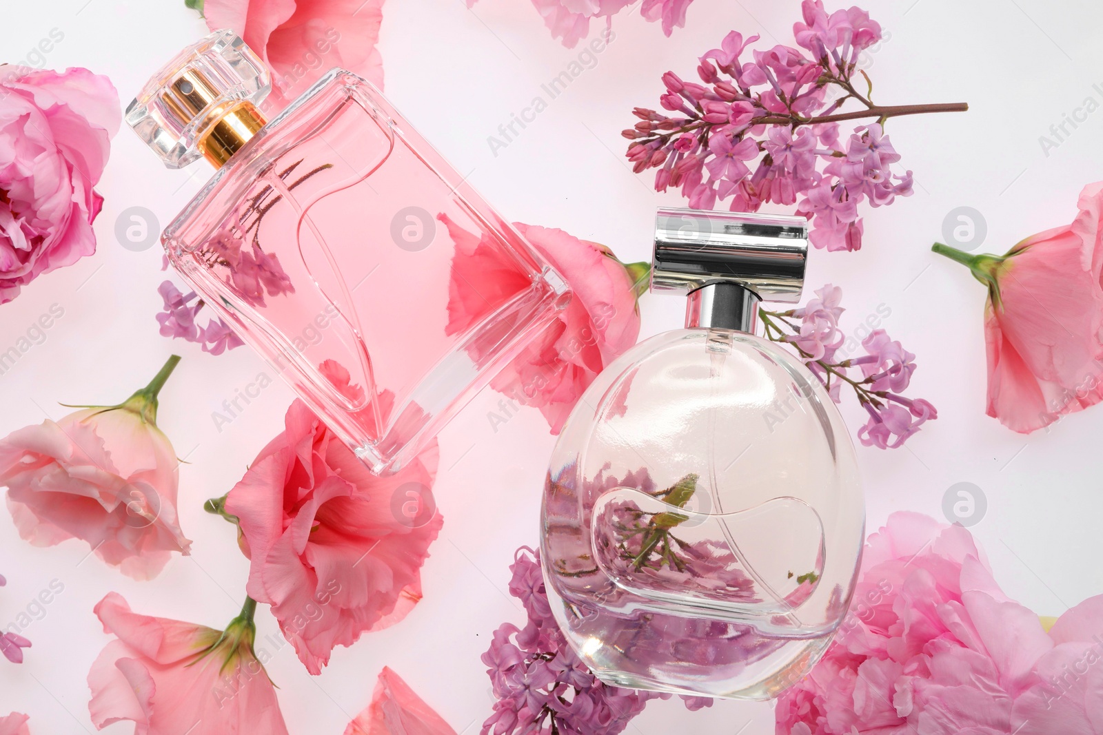 Photo of Luxury perfumes on spring floral decor, top view