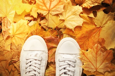 Photo of Sneakers on ground covered with fallen autumn leaves, top view