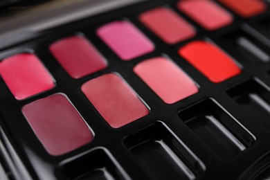 Cream lipstick palette as background, closeup. Professional cosmetic product