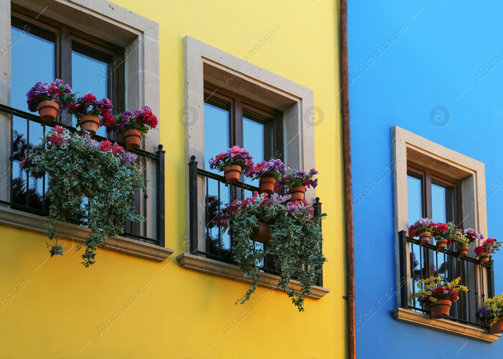 Photo of Buildings with beautiful windows, balconies and potted flowers