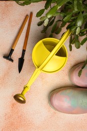 Watering can with gardening tools and green plant on color textured background, flat lay