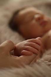 Mother holding hand of her newborn baby on fluffy blanket, closeup. Lovely family