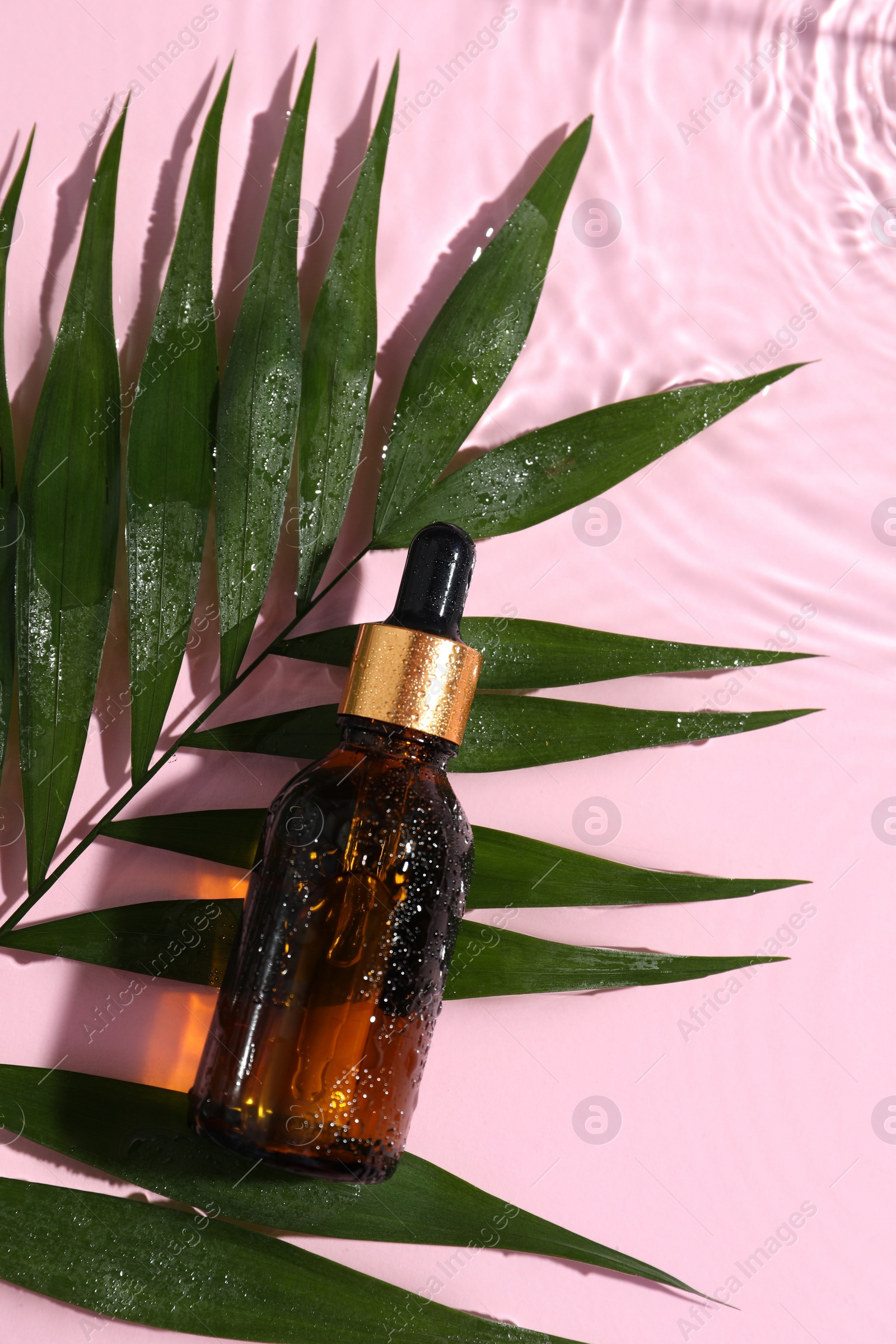 Photo of Bottle of cosmetic oil and tropical leaf in water on pink background, flat lay