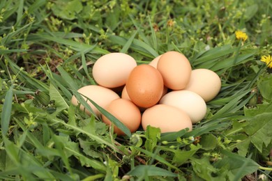 Fresh chicken eggs on green grass outdoors