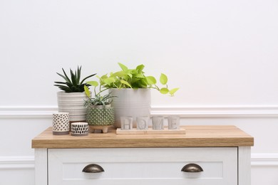 Stylish decor with houseplants on wooden chest of drawers near white wall. Interior design