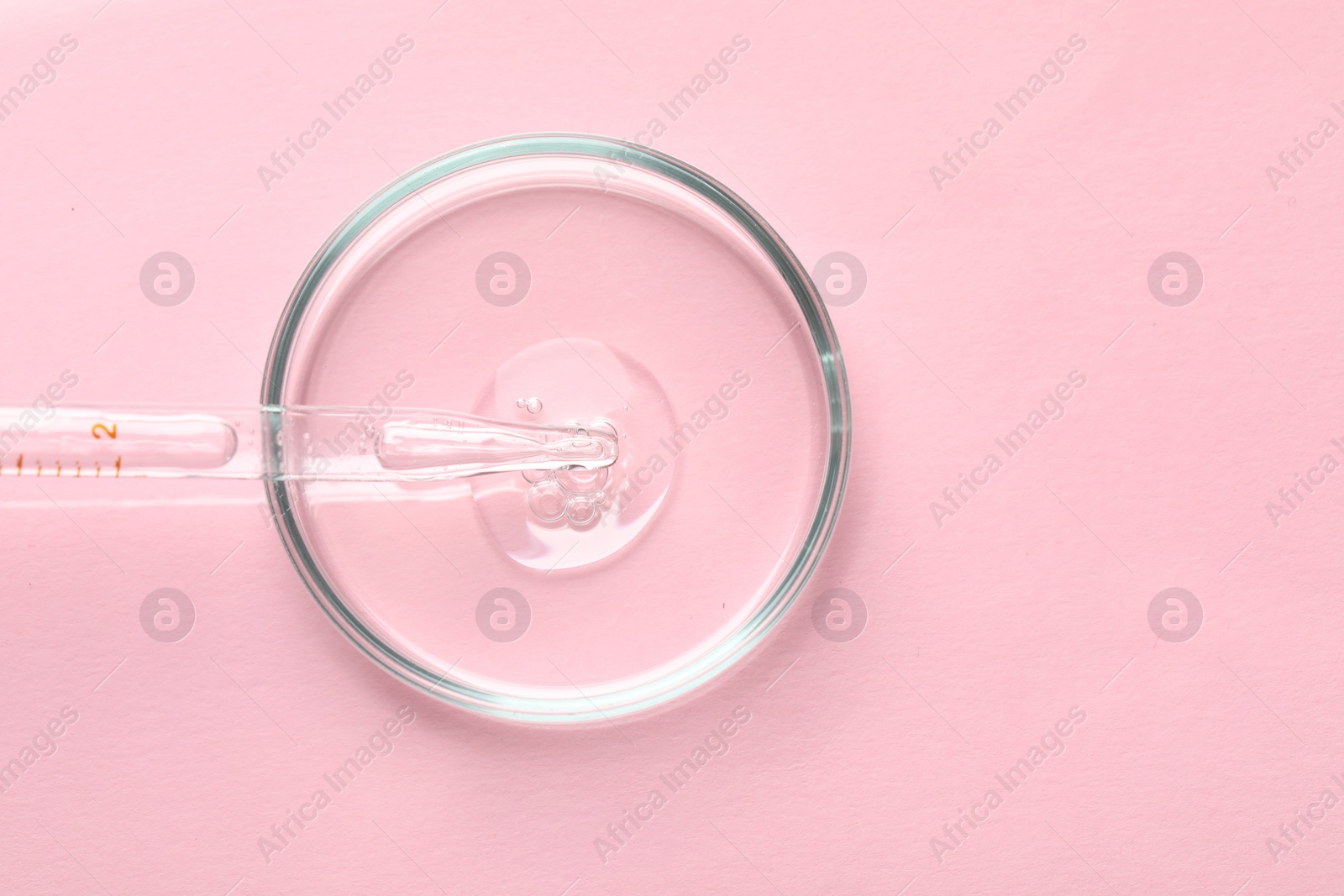 Photo of Glass pipette and petri dish with liquid on pink background, top view. Space for text