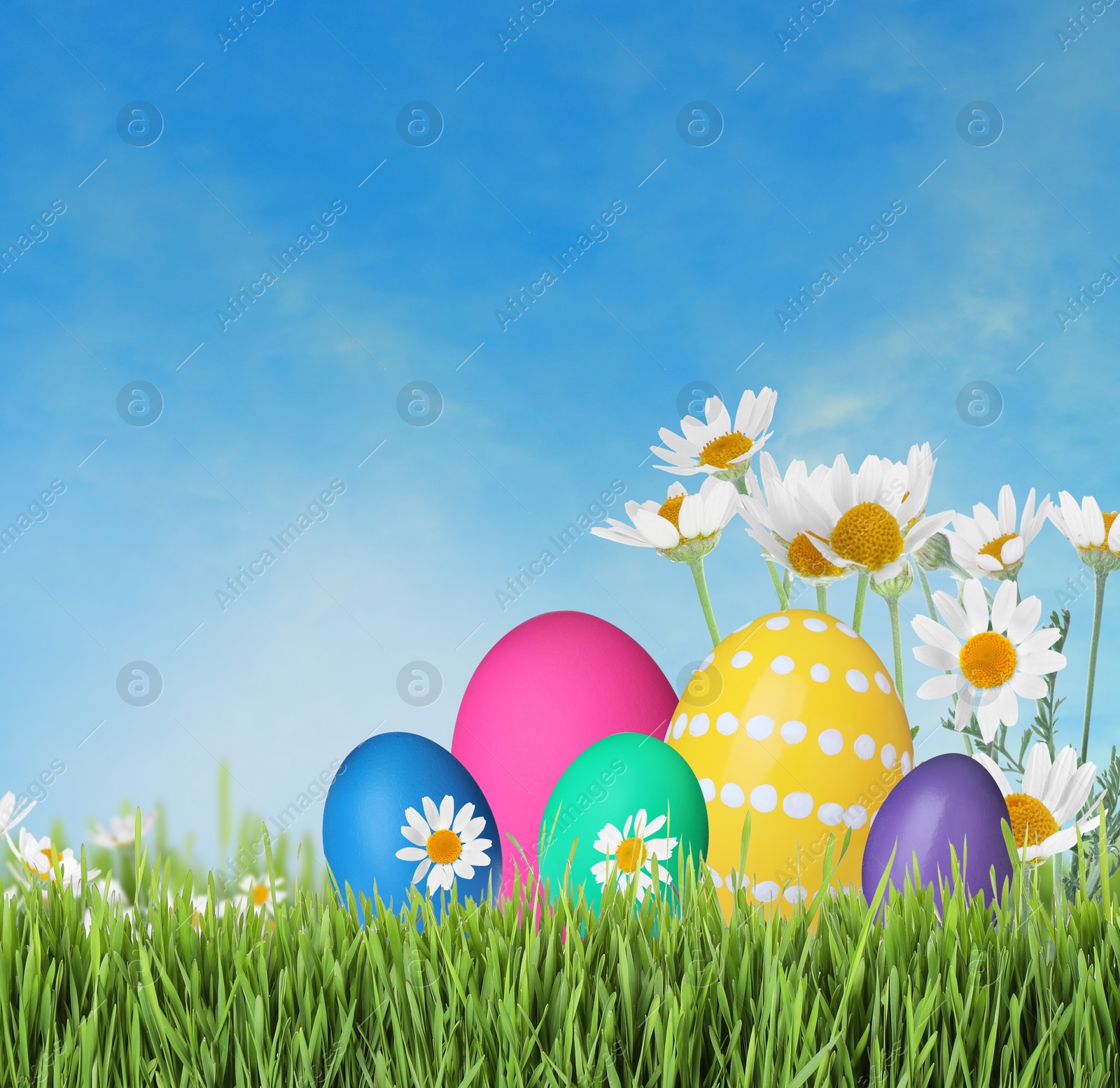 Image of Bright Easter eggs and spring flowers on green grass outdoors