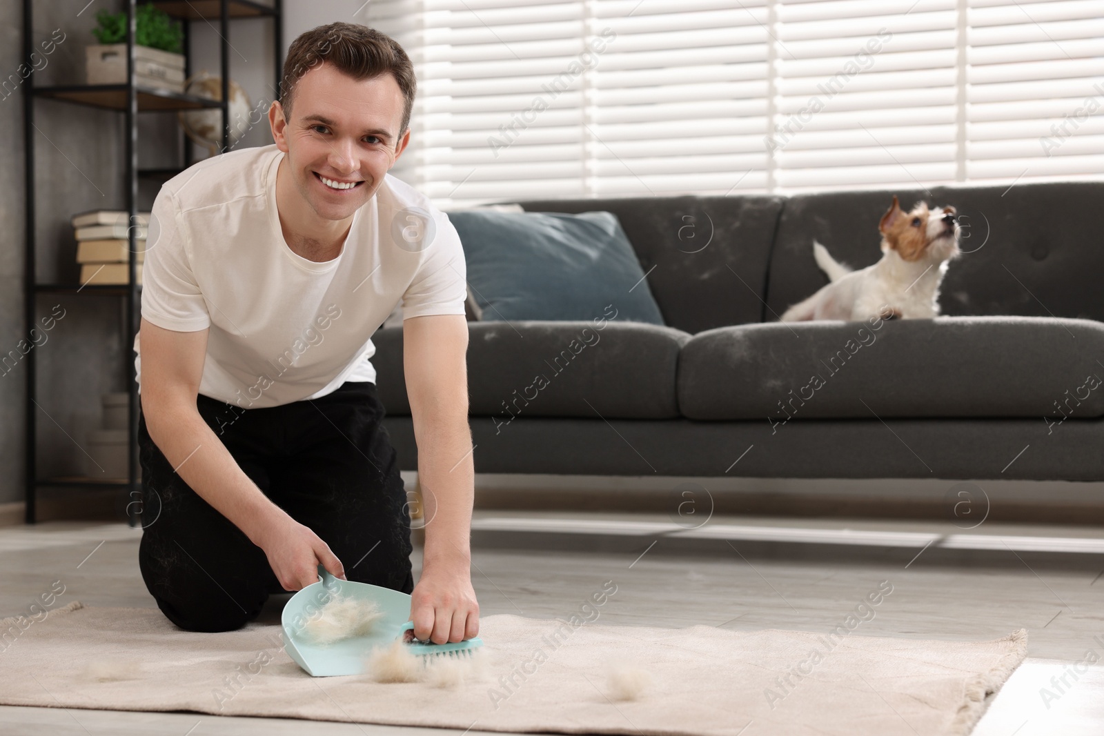 Photo of Smiling man with brush and pan removing pet hair from carpet at home. Space for text