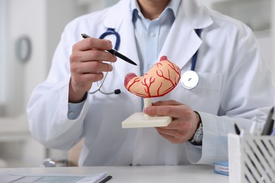 Gastroenterologist showing human stomach model at table in clinic, closeup