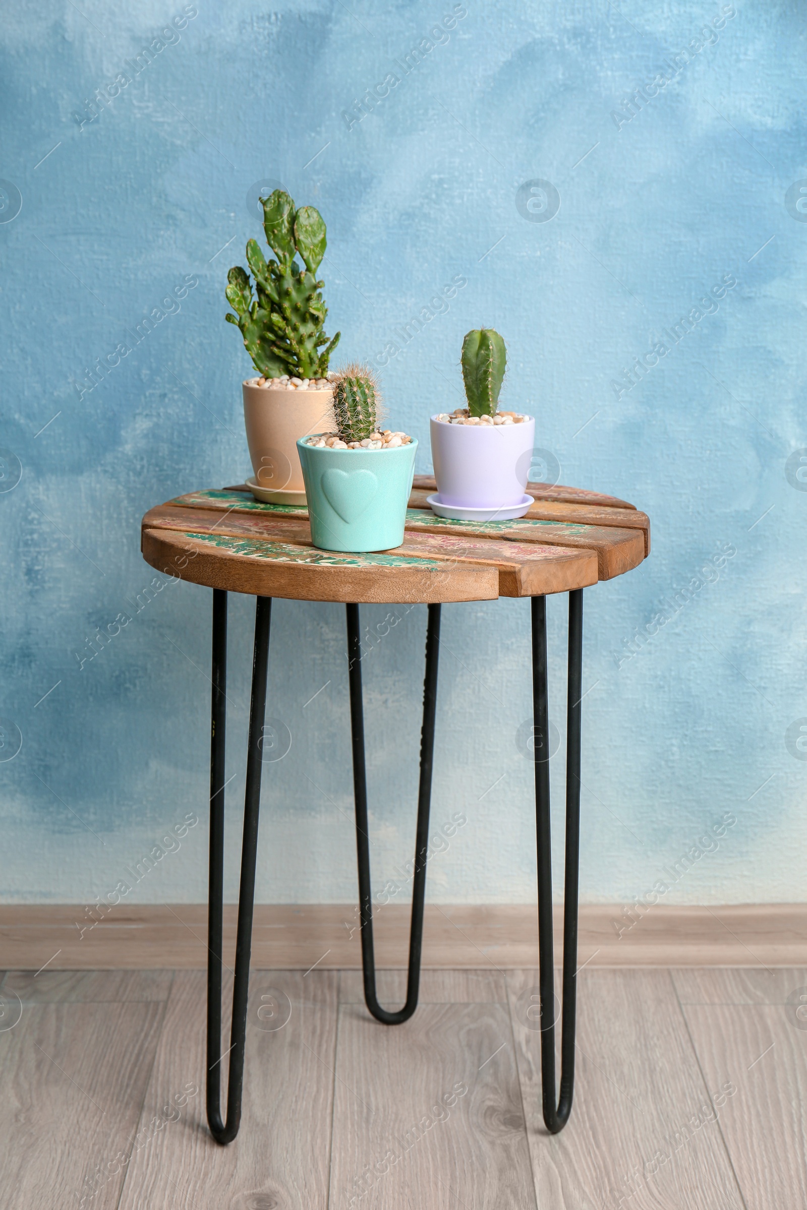 Photo of Beautiful cacti on table against color wall