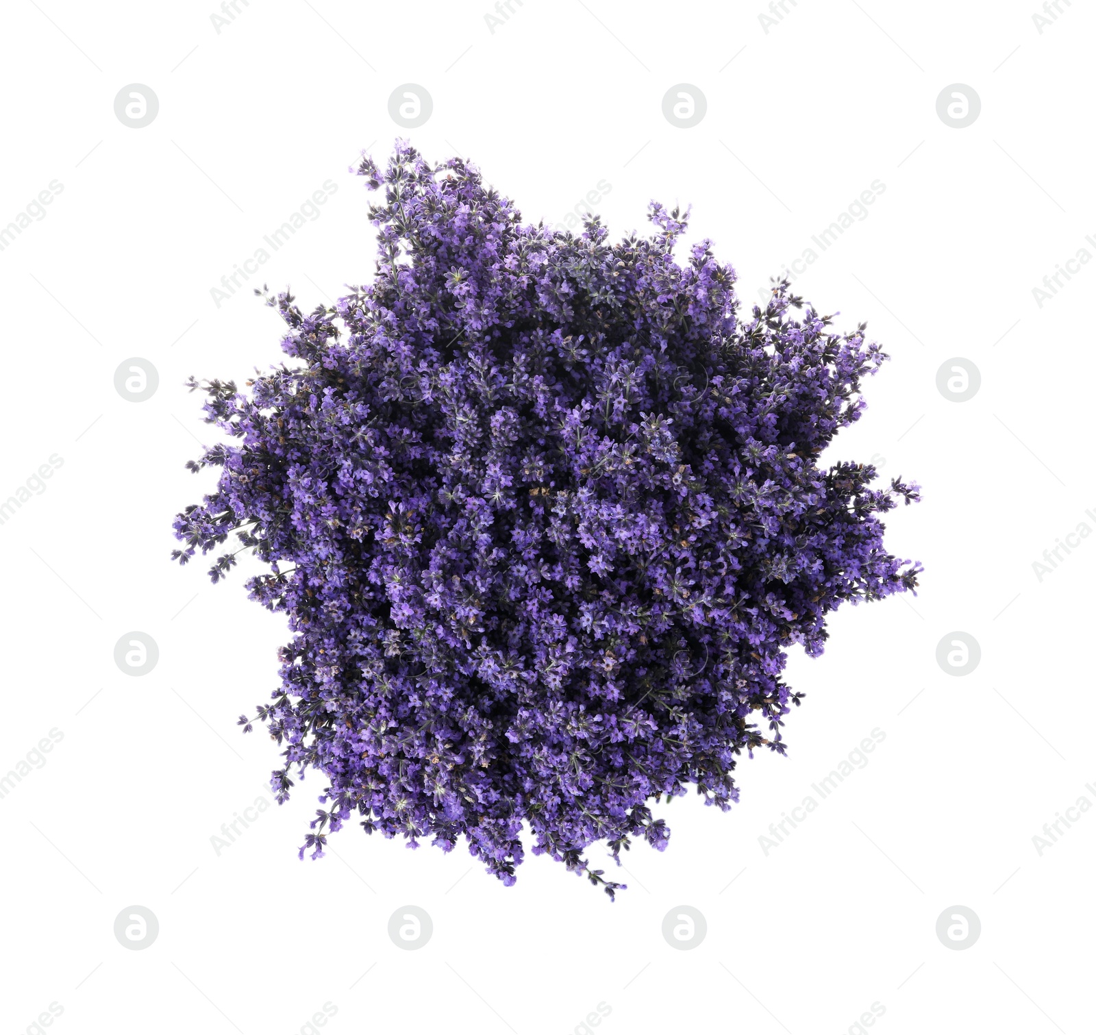 Photo of Beautiful lavender bouquet isolated on white, top view