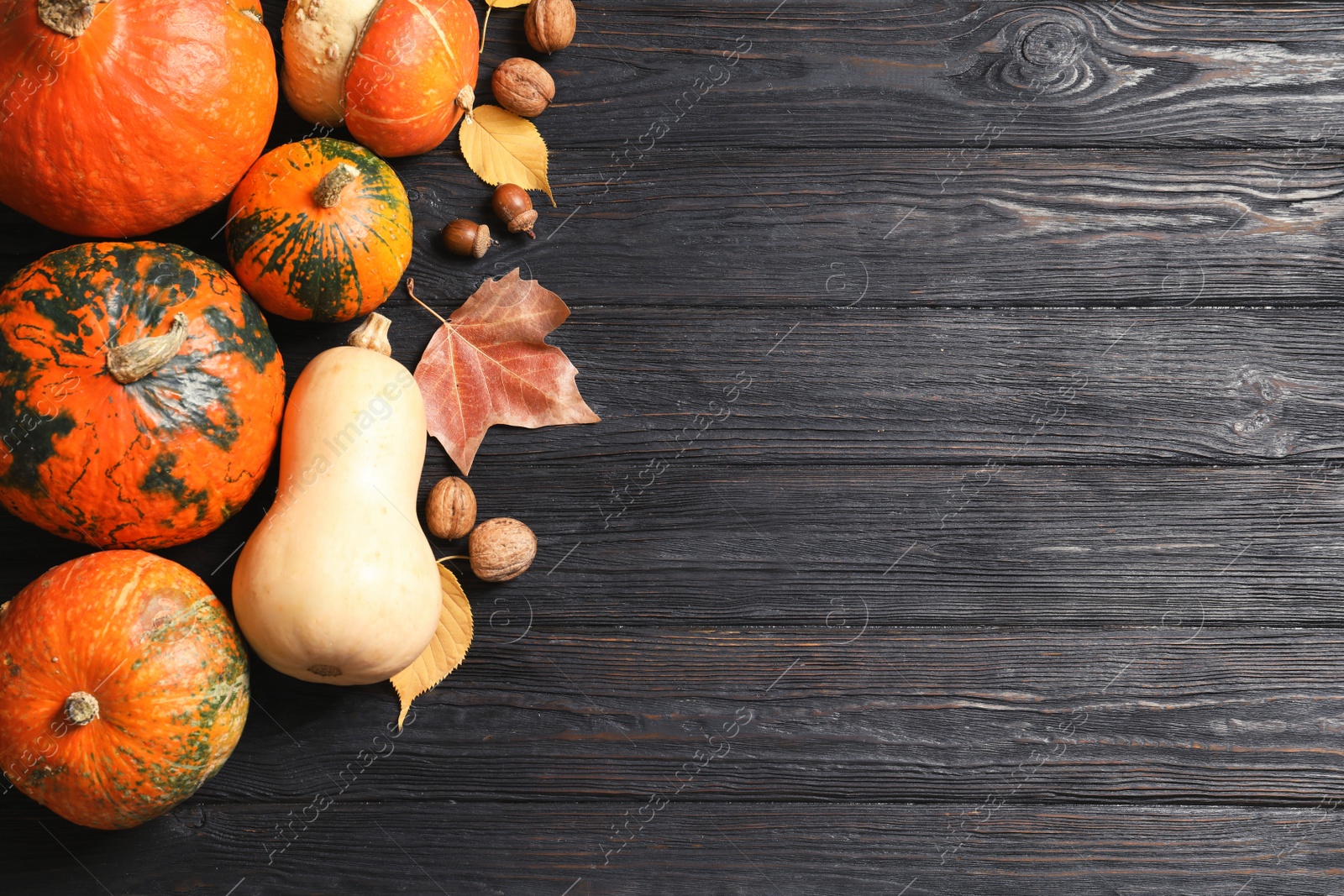 Photo of Flat lay composition with different pumpkins and space for text on wooden background. Autumn holidays