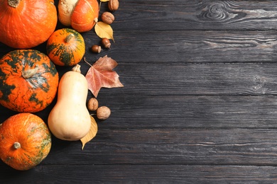 Flat lay composition with different pumpkins and space for text on wooden background. Autumn holidays