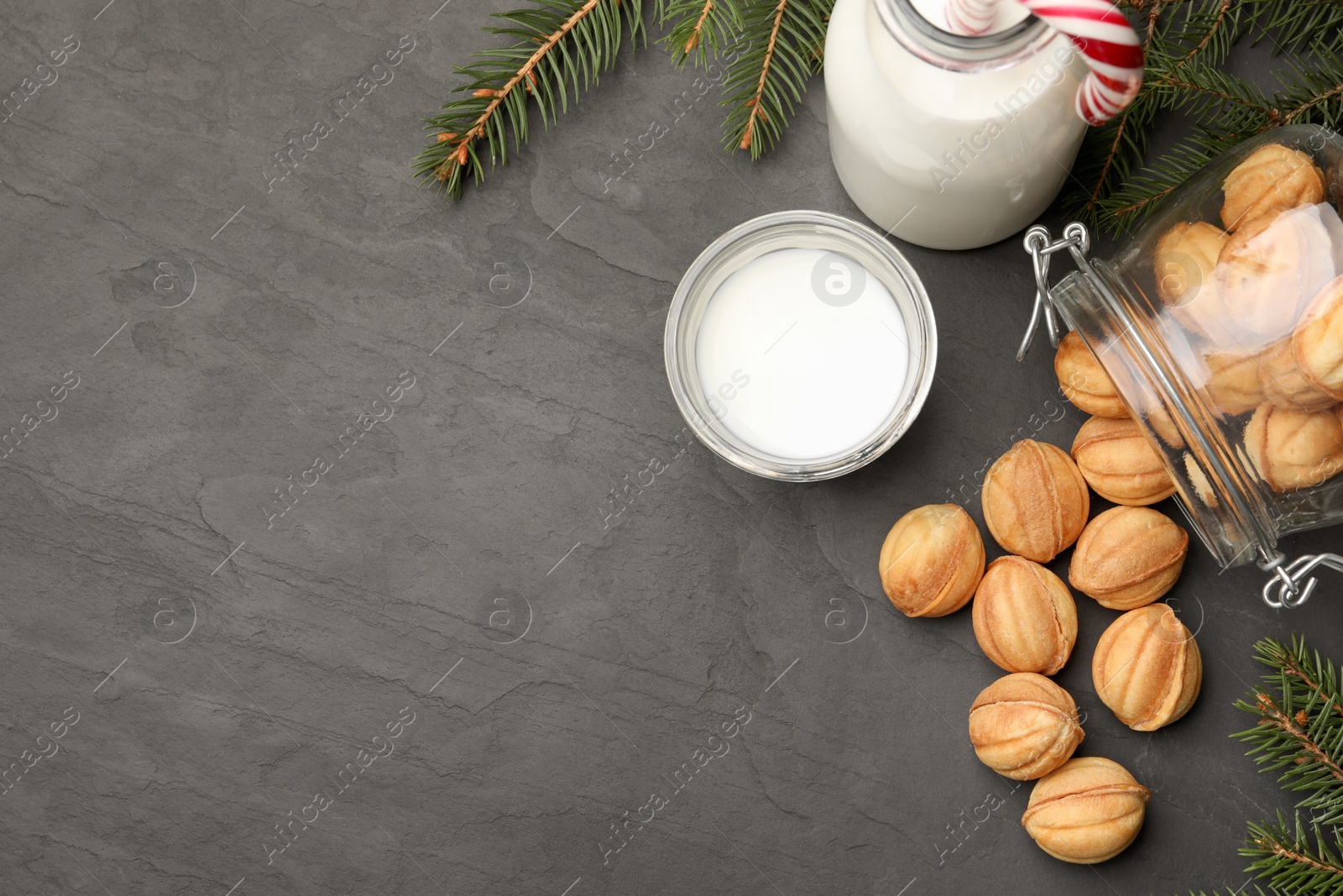 Photo of Homemade walnut shaped cookies, milk and fir branches on black table, flat lay. Space for text