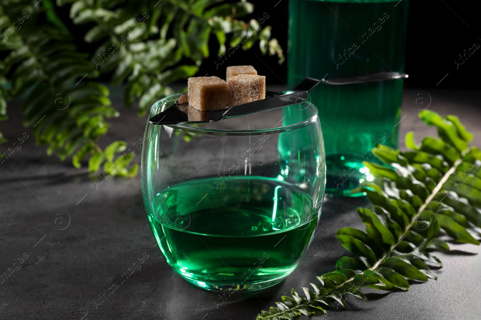 Photo of Absinthe in glass, spoon, brown sugar cubes and fern leaves on gray textured table, closeup. Alcoholic drink