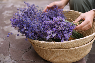 Woman with basket of beautiful lavender flowers outdoors, closeup