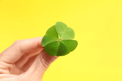 Woman holding beautiful green four leaf clover on yellow background, closeup