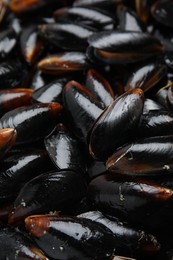Photo of Heap of raw mussels in shells as background, closeup