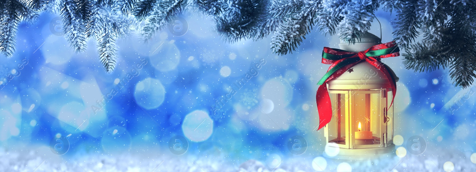 Image of Beautiful Christmas lantern hanging on fir tree branch, bokeh effect. Banner design with space for text