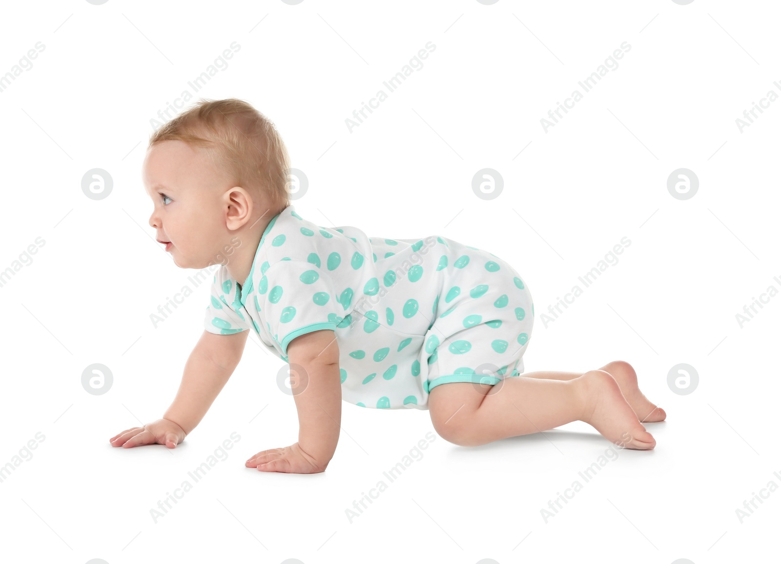 Photo of Cute little baby crawling on white background