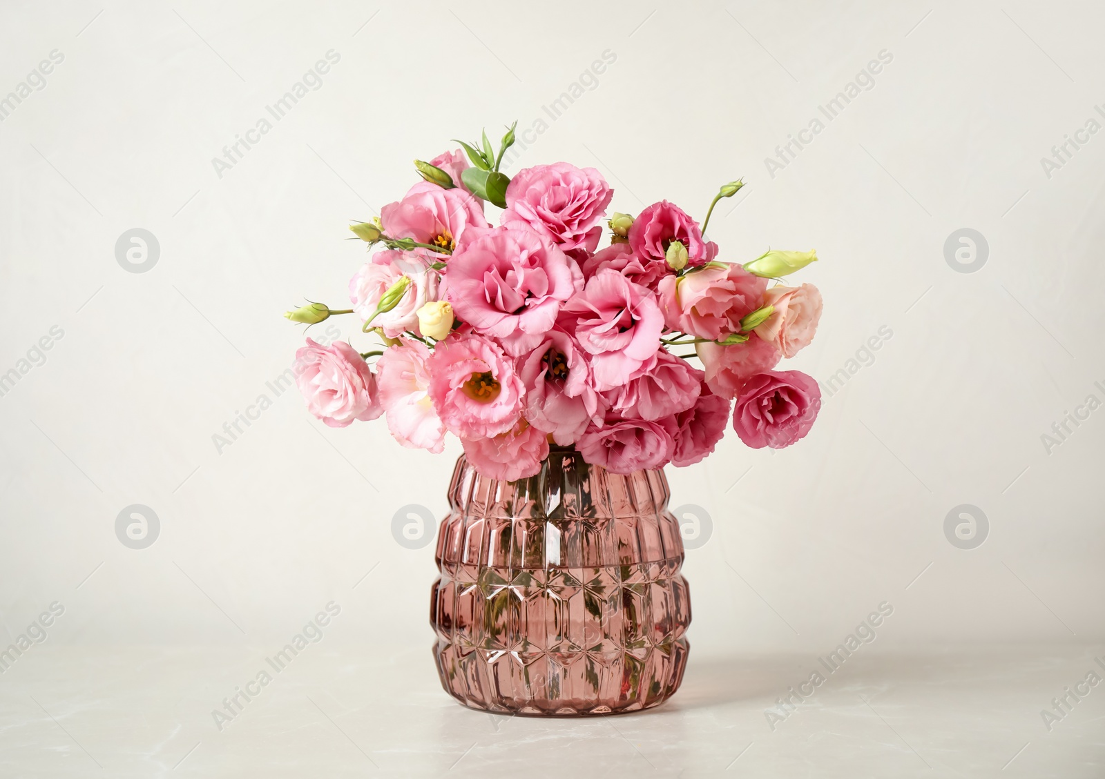 Photo of Beautiful pink Eustoma flowers in vase on light background