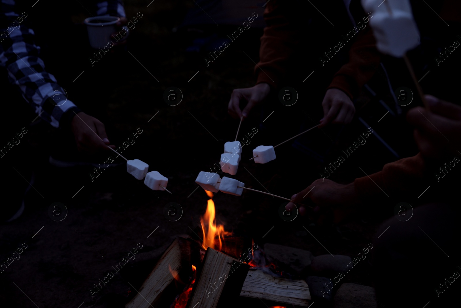 Photo of People roasting marshmallows on bonfire outdoors at night, above view