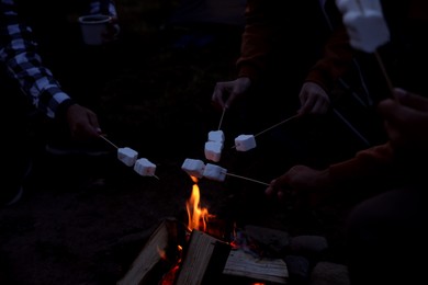 Photo of People roasting marshmallows on bonfire outdoors at night, above view