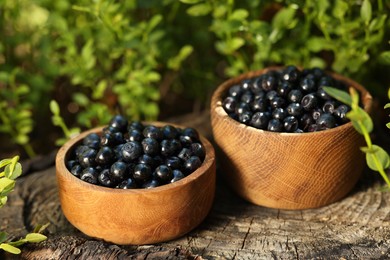Photo of Bowls of delicious bilberries on stump outdoors, closeup