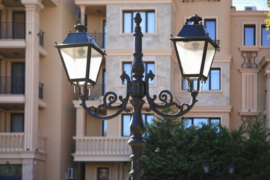 Beautiful vintage street lamps near building outdoors