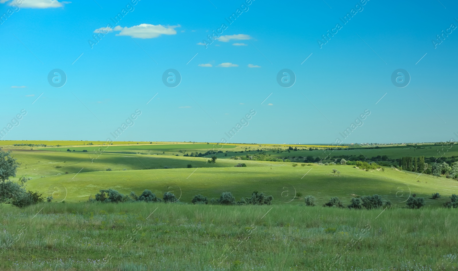 Photo of Beautiful landscape with green grass on sunny day