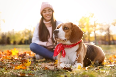 Photo of Woman walking her cute Beagle dog in autumn park