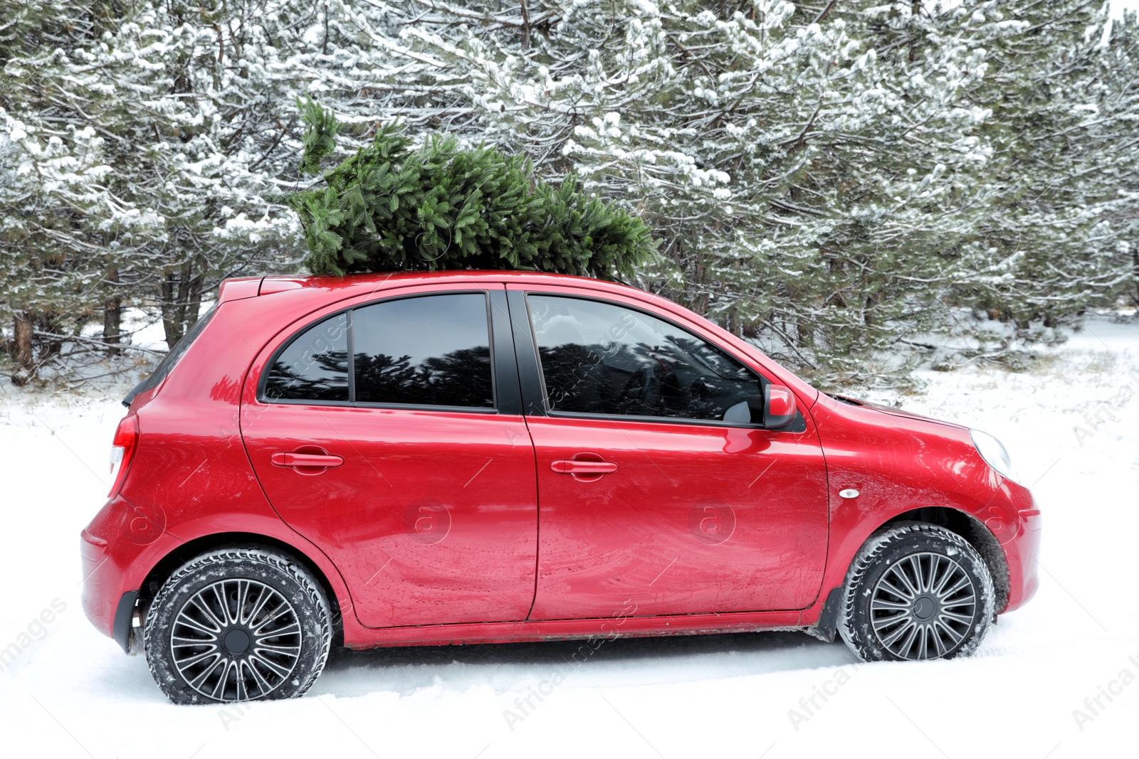 Photo of Car with fir tree on roof in snowy winter forest