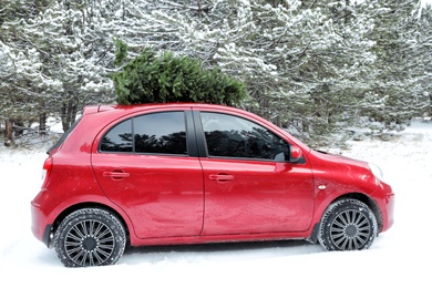 Photo of Car with fir tree on roof in snowy winter forest