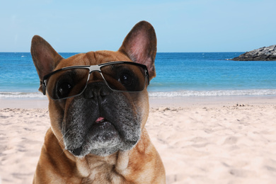 Cute French bulldog with sunglasses on sunny beach