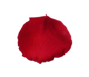 Red rose flower petal on white background