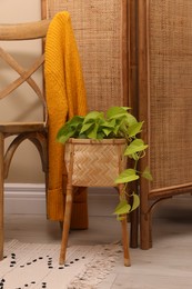 Photo of Wicker cachepot with houseplant near folding screen and wooden chair in room. Interior accessories