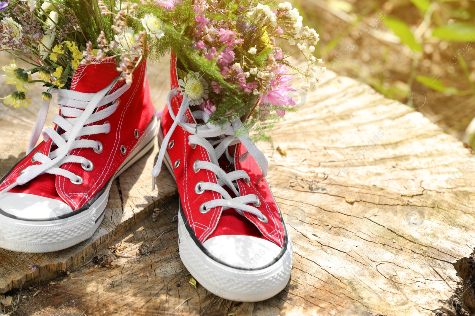 Photo of Beautiful flowers in shoes on stump outdoors, closeup. Space for text